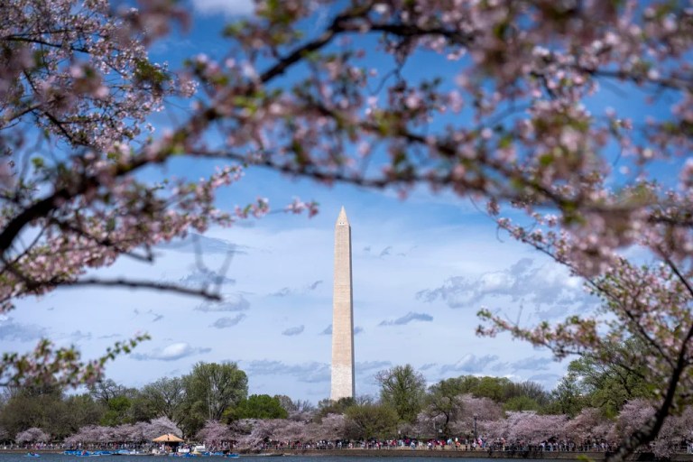 Trump expected to announce DC as host of 2027 NFL draft