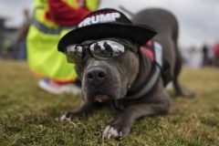 PETA a ‘lefty’ group? Think again