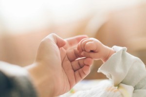America might be witnessing peak motherhood