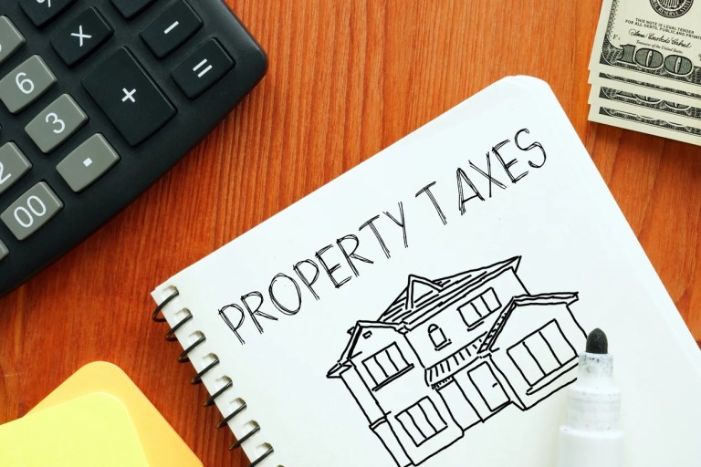Fairfax County Democrats embrace higher taxes and waste
