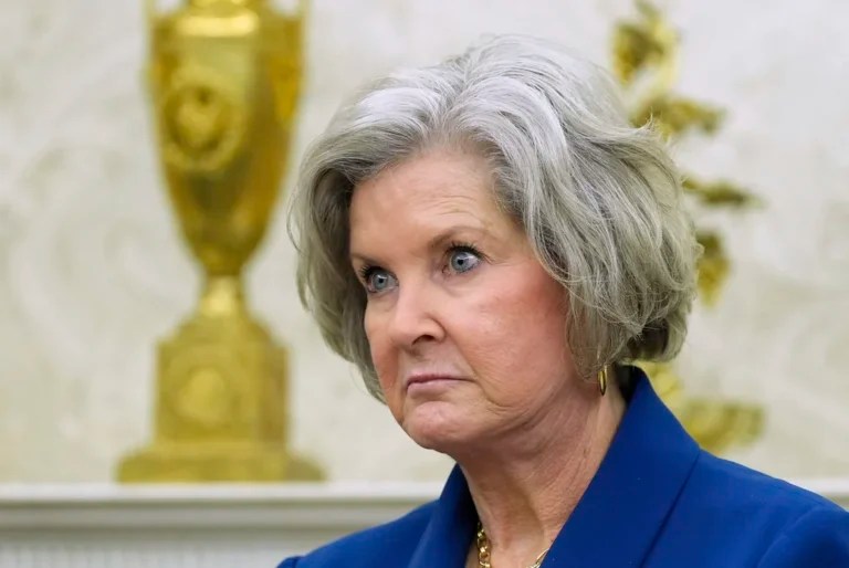 Private company pulls land deal involving Florida wildlife preserve after outrage from Trump chief of staff Susie Wiles