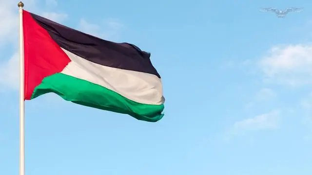 Statehood won’t make Palestinians free. It will trigger the next war