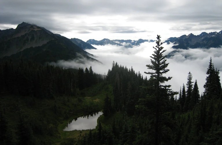 The American Conservation Coalition is wrong about the HOUSES Act