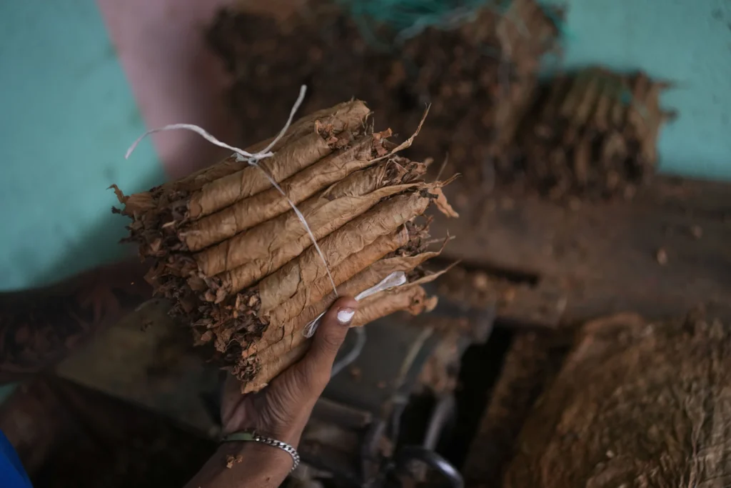 Congress should end
federal tax subsidies for foreign tobacco 