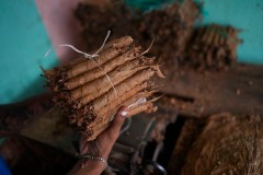 Congress should end federal tax subsidies for foreign tobacco