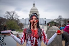 Democrats claim, without evidence, that transgender ‘care’ saves children’s lives