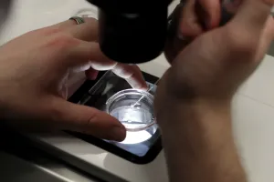 Israeli national arrested at Cyprus airport for trying to smuggle four human embryos to Mexico