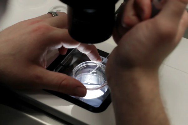 Have Republicans settled the IVF debate? Not so fast