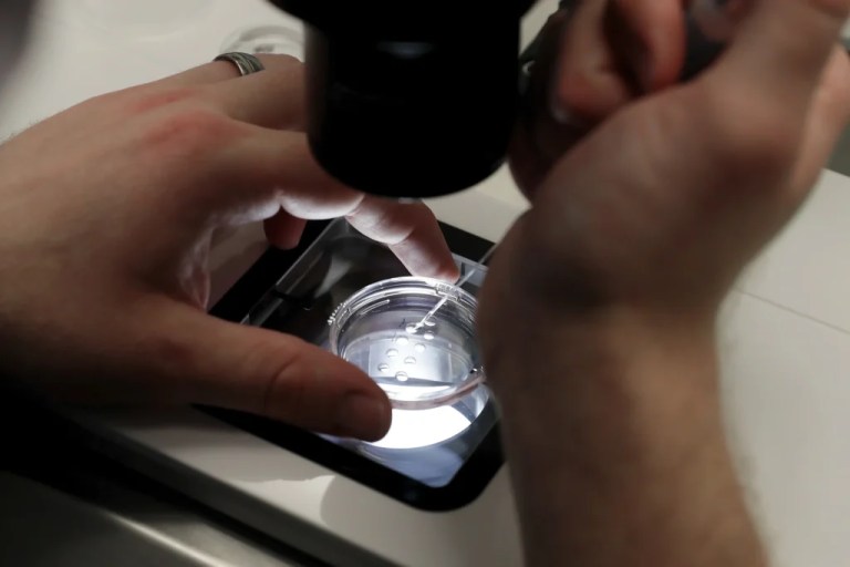 Lab staff prepare small petri dishes.