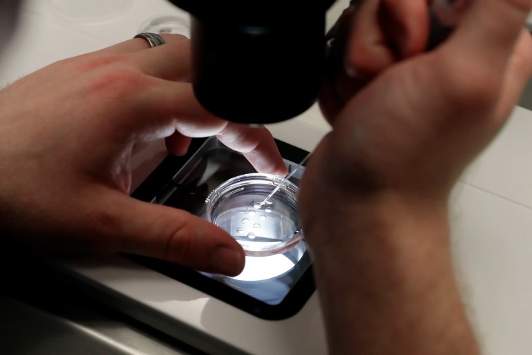 Lab staff prepare small petri dishes, each holding several 1 to 7-day-old embryos, for cells to be extracted from each embryo to test for viability at the Aspire Houston Fertility Institute in vitro fertilization lab Feb. 27, 2024.