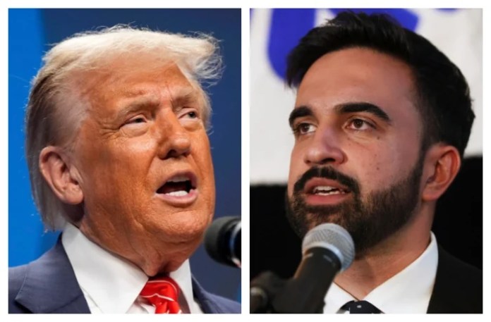 Democrats decry alleged ‘scheme’ by Trump to meddle in NYC election
