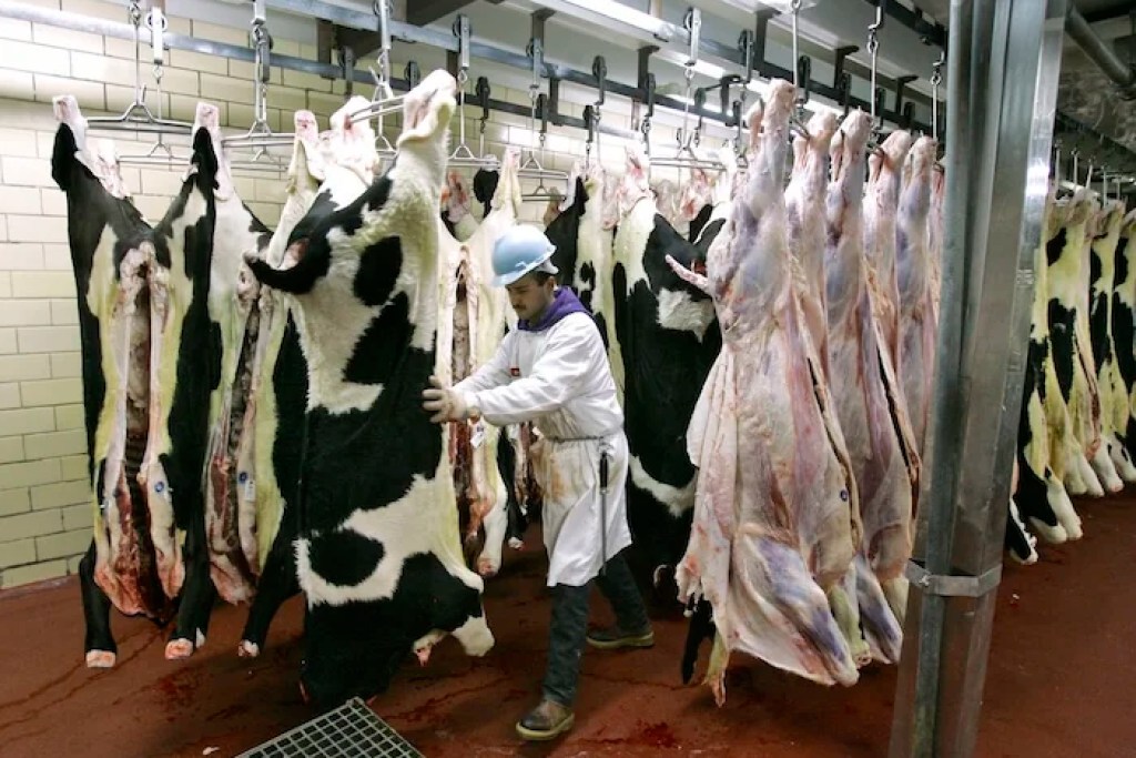 Where illegal immigrants find work in the US