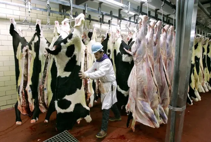 The age-old debate: Do Illegal immigrants steal American jobs?