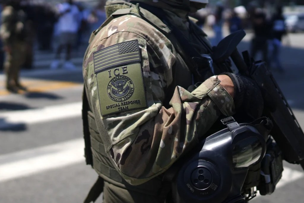 NextImg:Democrats' rhetoric endangers ICE officers
