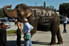 The Trump Circus is back in town