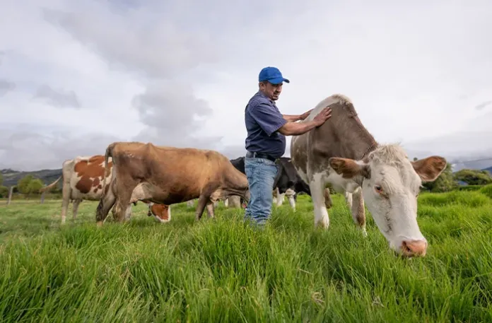 Can Trump make farming great again?