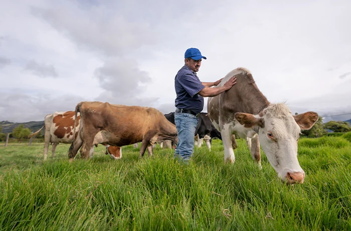 Can Trump make farming great again?