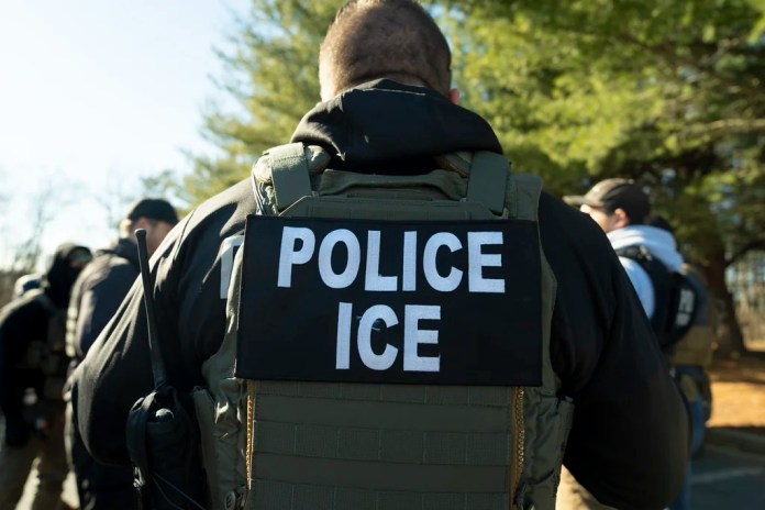 DHS calls for ‘sanctuary politicians’ and ‘leftist groups’ to stop ‘demonizing’ DHS officers