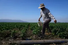 Migrant dies after 30-foot fall from greenhouse roof during California ICE raid