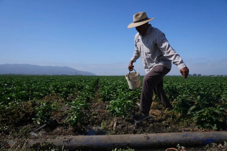 Migrant dies after 30-foot fall from greenhouse roof during California ICE raid