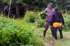 Migrants send $200 billion home, some to help criminal cartels
