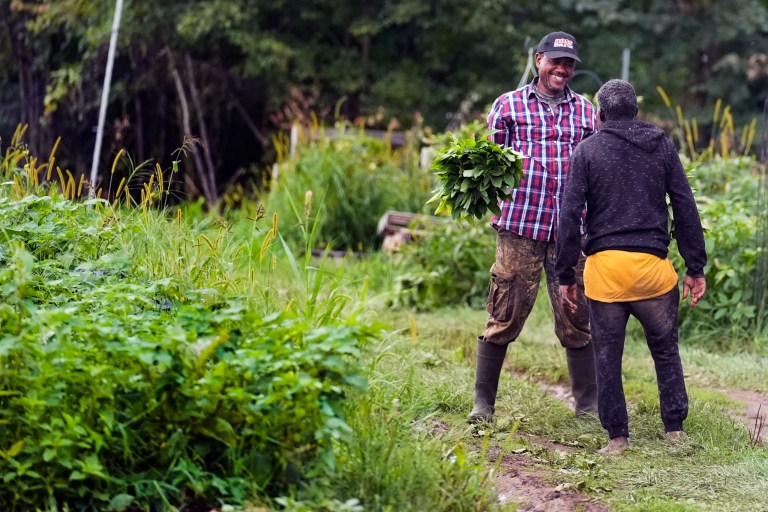 Migrants send $200 billion home, some to help criminal cartels