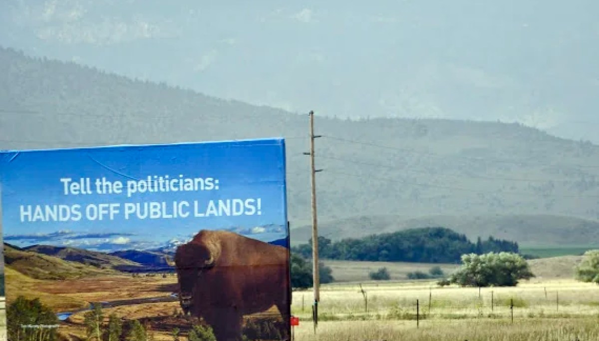 Trump administration kills Montana Buffalo Commons