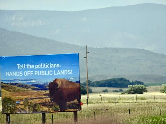 Trump administration kills Montana Buffalo Commons
