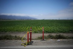 ICE says 200 illegal immigrants arrested; UFW reports 1 death