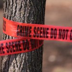 Man fleeing immigration agents in Florida killed by tractor-trailer, police say