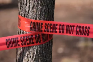 Man fleeing immigration agents in Florida killed by tractor-trailer, police say