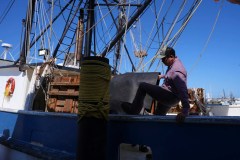 Shrimpers applaud Trump trade deal