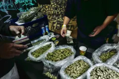 Trump’s marijuana mistake