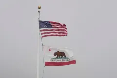 The California model: Sex crimes and trafficking