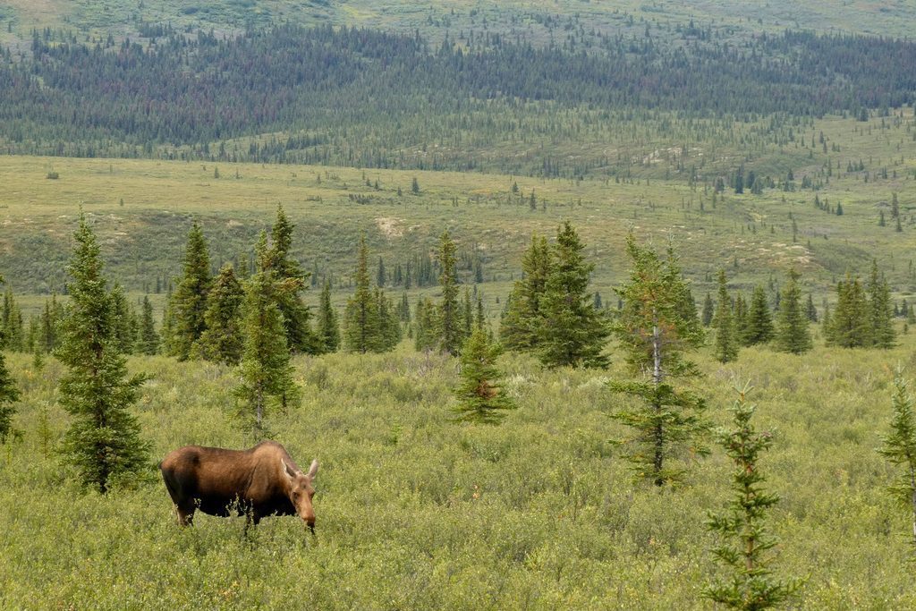 NextImg:NPCA calls for national parks to close if government shuts down