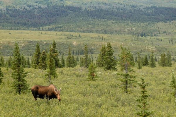 National Parks Conservation Association calls for parks to close if government shuts down