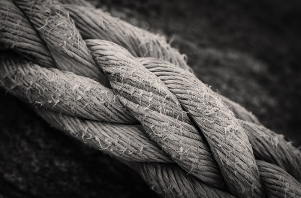 A tangled history: Review of ‘Rope’ by Tim Queeney