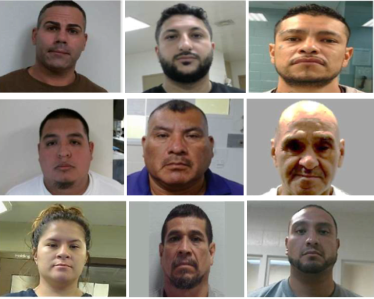 ICE Tracker: The ‘worst of the worst’ criminals that ICE protected Americans from this weekend