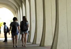 The woke war on standards is destroying higher education