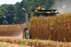 The USDA’s Great American Farmers Market celebrates our local farmers
