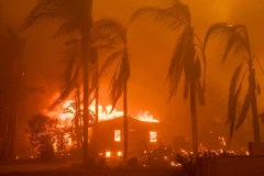 Complaints pour in over Army Corps’ Los Angeles fire cleanup efforts
