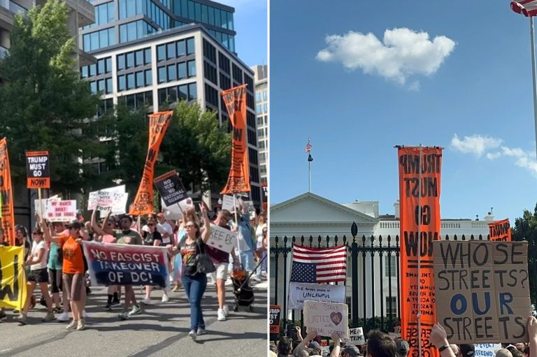 Protesters in DC.