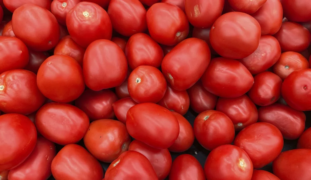 Clinton-era Sinaloa tomato scandal proves Trump right to kill USMCA