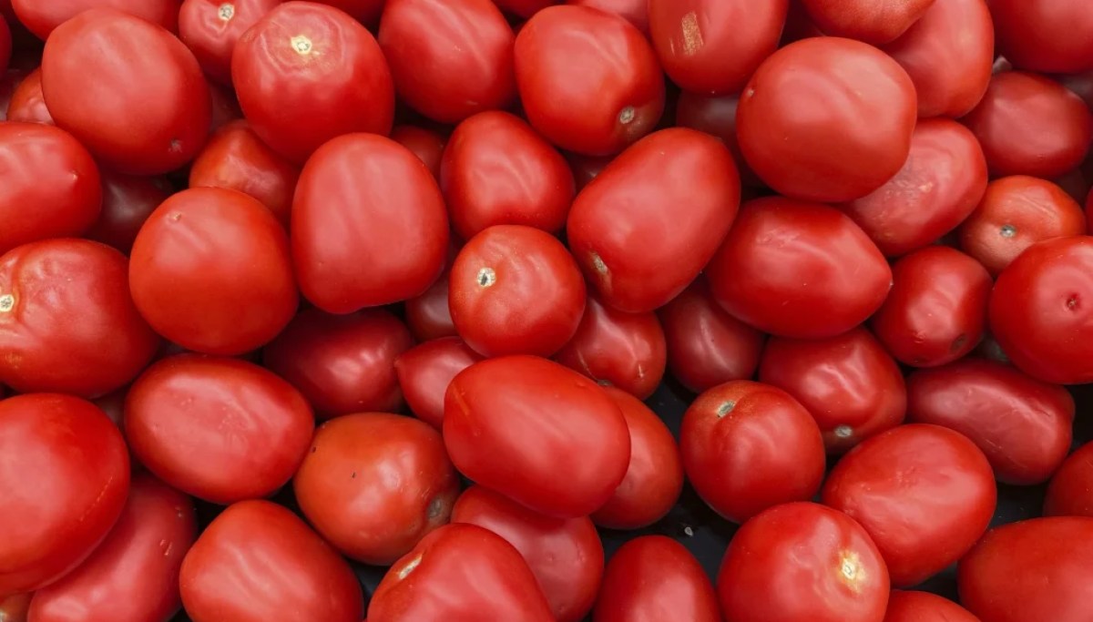 Clinton-era Sinaloa tomato scandal proves Trump right to kill USMCA