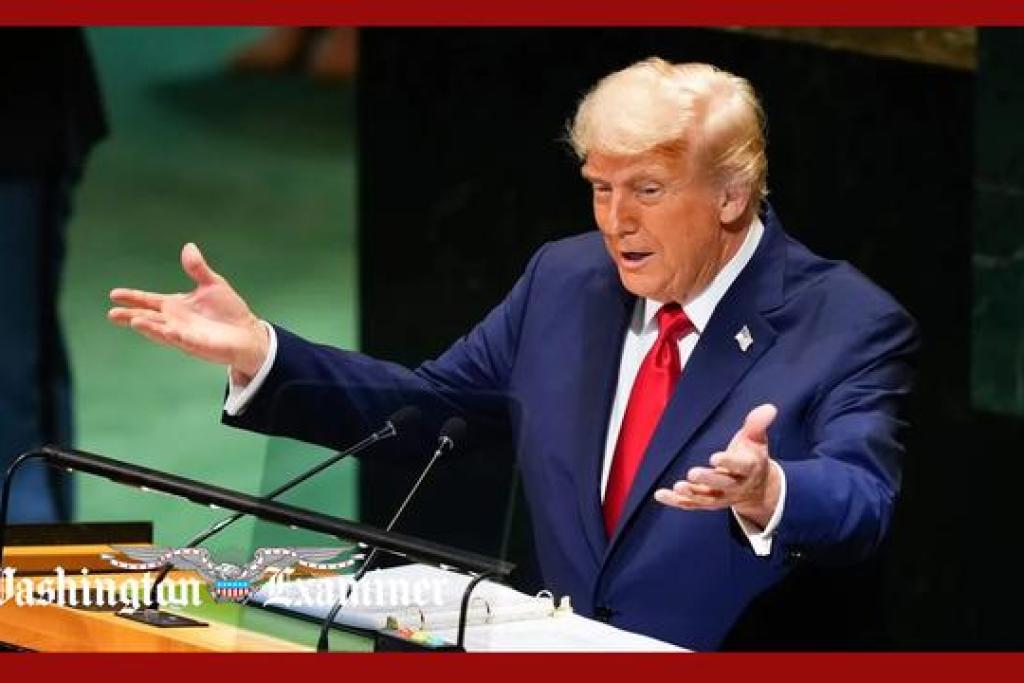 NextImg:Has Trump woken up to Putin's Ukraine game?