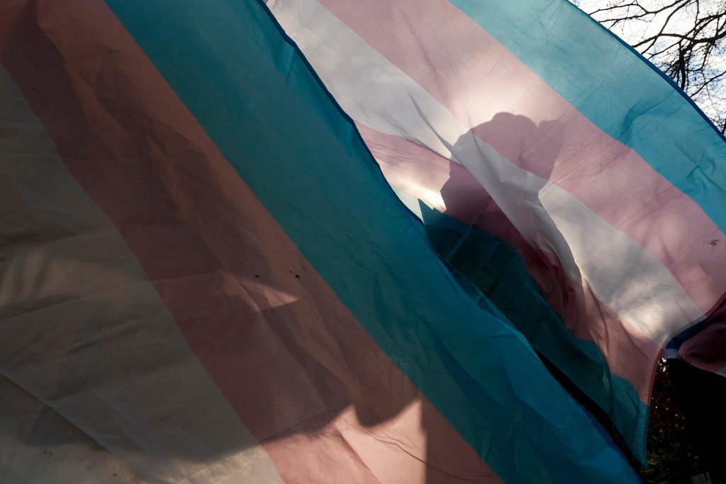 Finally, justice for detransitioners — and women