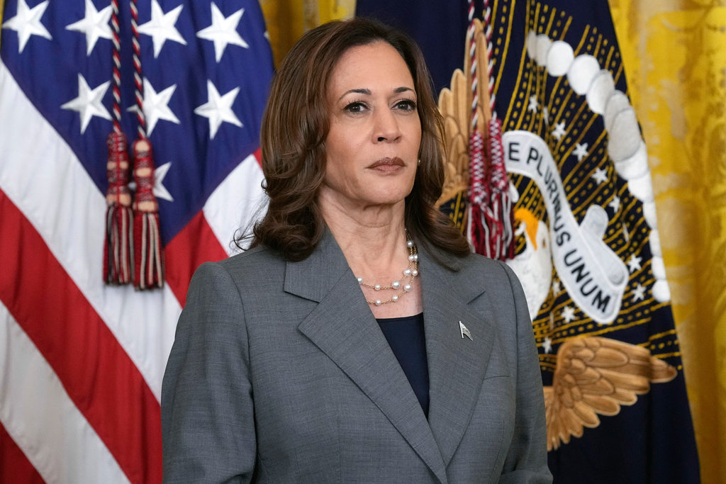 NextImg:Harris warns Democrats against fixation on Mamdani