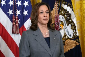 Harris warns Democrats against fixation on Mamdani: ‘Not the only star’