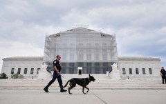 Supreme Court to decide if GOP candidate can sue over Illinois mail-in ballot law