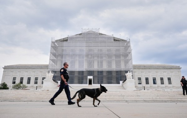 Supreme Court to decide if GOP candidate can sue over Illinois mail-in ballot law